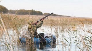 Охота на водоплавающую дичь